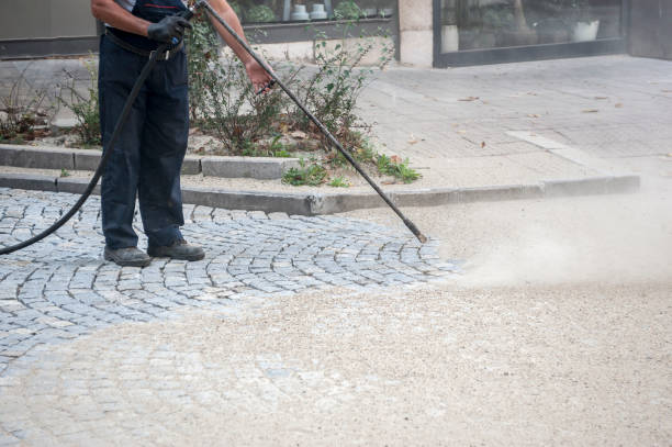 Best Sidewalk and Walkway Cleaning  in Montour Falls, NY